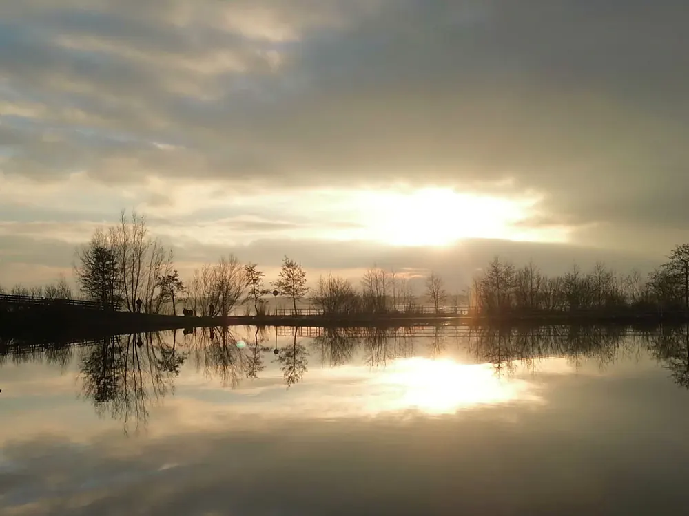 De Nieuwkoopse Plassen, vlak bij de winkel